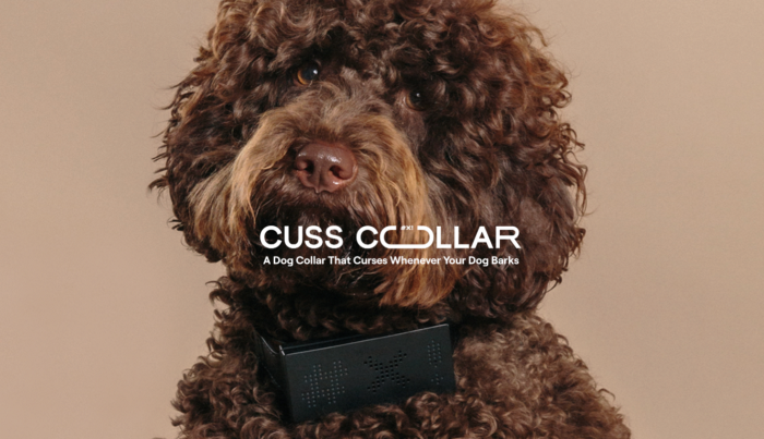 MSCHF Cuss Collar